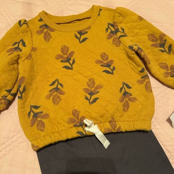 ❤️NWT Carters 2 PC Set (size 3-6mo) - Picture 4 of 6